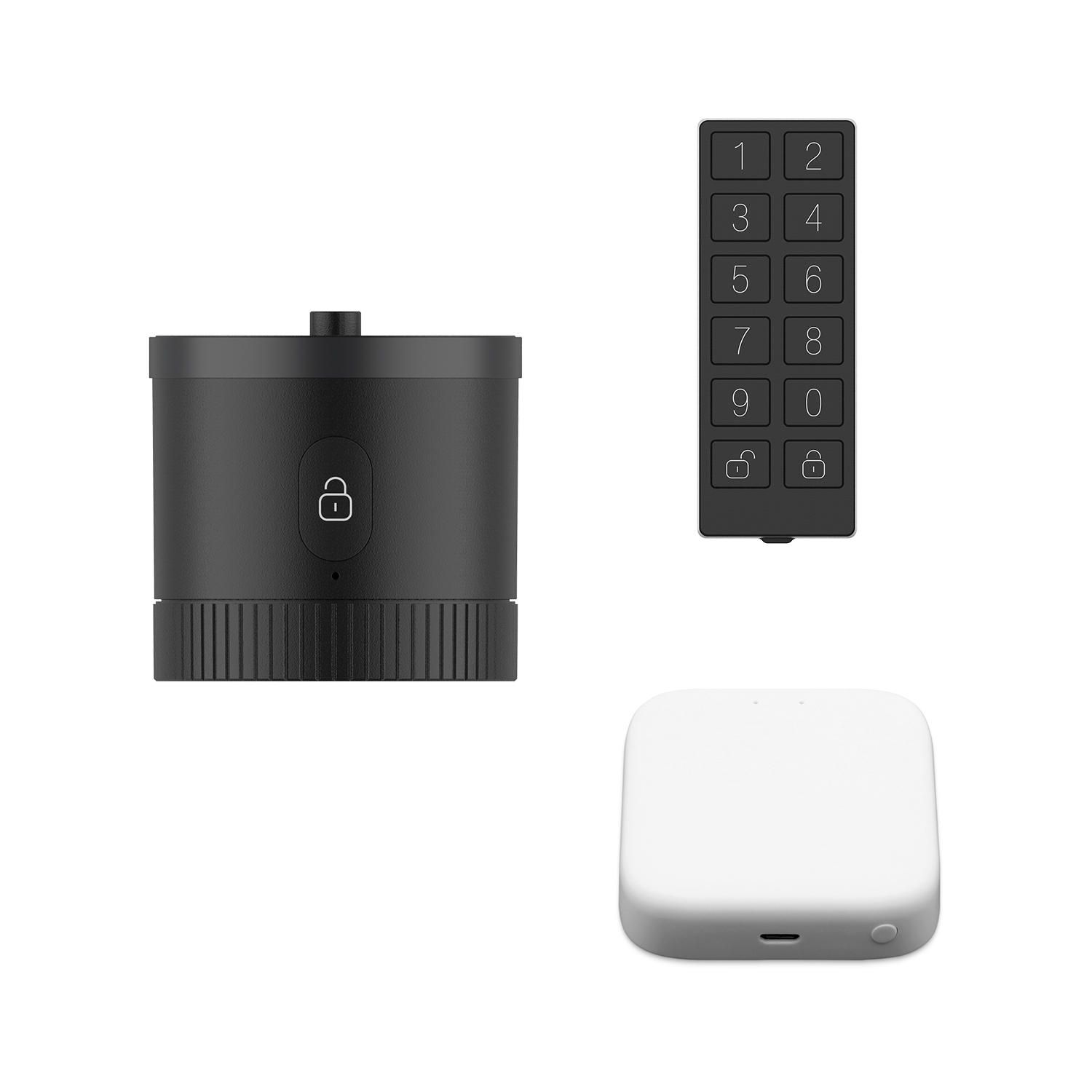 Door Lock FSL-IOT-L004